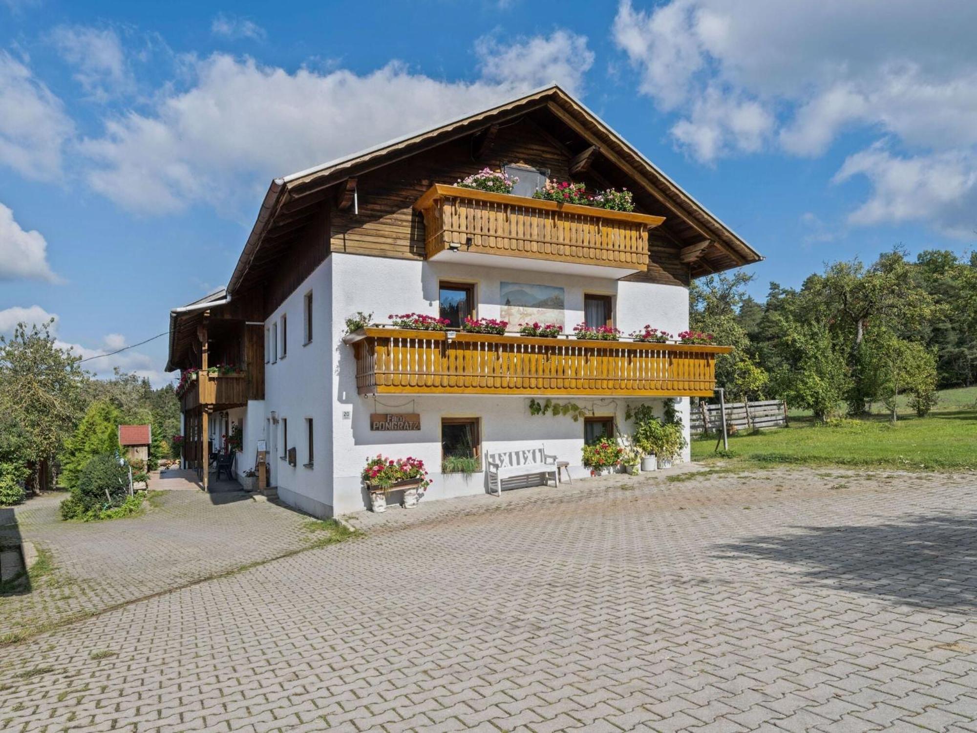 Apartment On A Farm Near The Ski Area Neukirchen beim Heiligen Blut Bagian luar foto