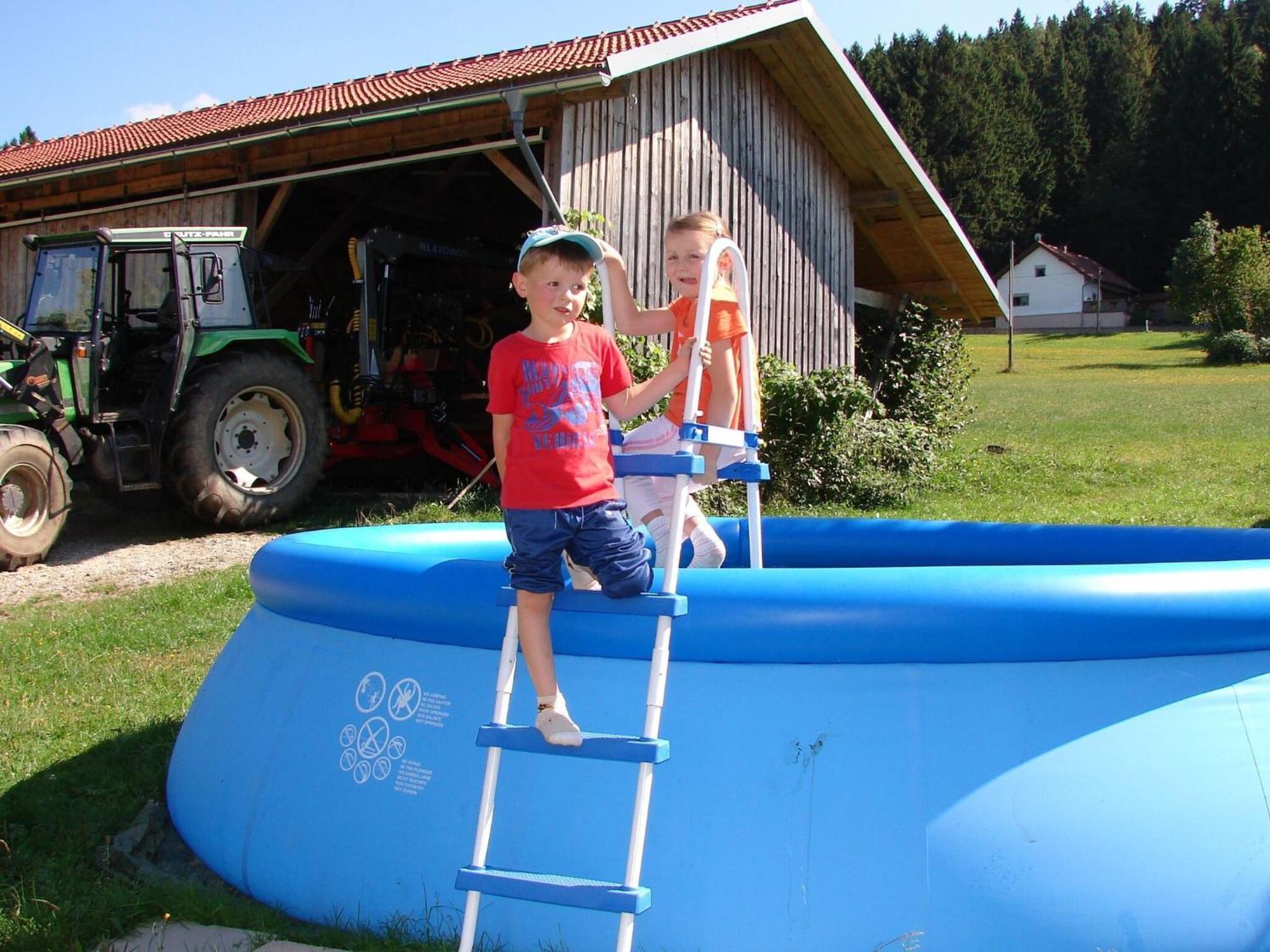 Apartment On A Farm Near The Ski Area Neukirchen beim Heiligen Blut Bagian luar foto